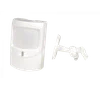 PLT 24